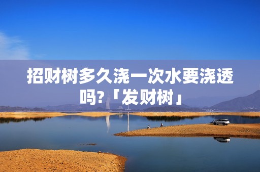 招财树多久浇一次水要浇透吗?「发财树」