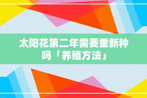 太阳花第二年需要重新种吗「养殖方法」