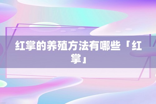 红掌的养殖方法有哪些「红掌」