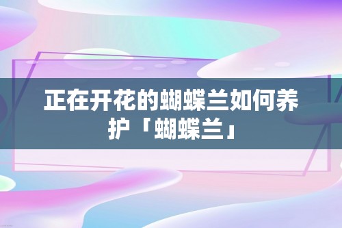 正在开花的蝴蝶兰如何养护「蝴蝶兰」