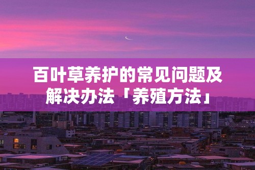 百叶草养护的常见问题及解决办法「养殖方法」