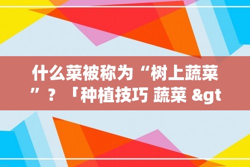 什么菜被称为“树上蔬菜”？「种植技巧 蔬菜 >」