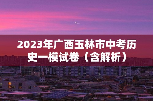 2023年广西玉林市中考历史一模试卷（含解析）