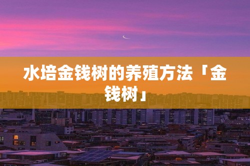 水培金钱树的养殖方法「金钱树」