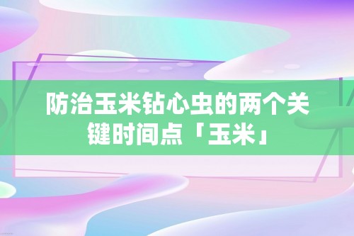 防治玉米钻心虫的两个关键时间点「玉米」