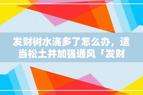 发财树水浇多了怎么办，适当松土并加强通风「发财树」