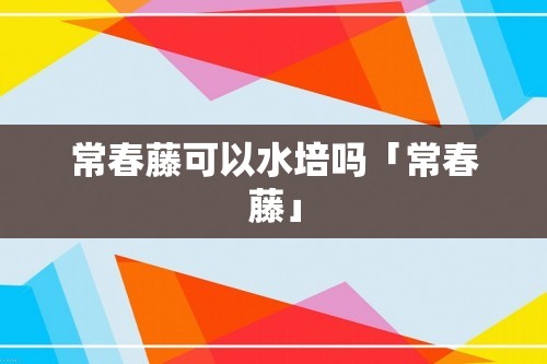 常春藤可以水培吗「常春藤」