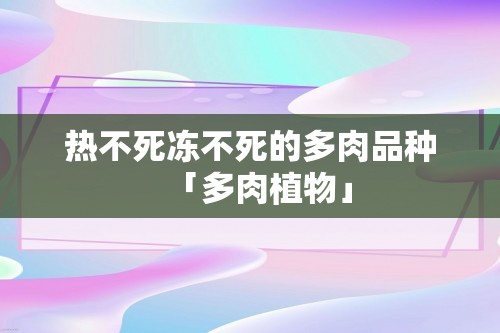 热不死冻不死的多肉品种「多肉植物」