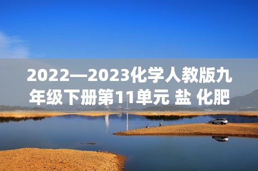 2022—2023化学人教版九年级下册第11单元 盐 化肥  基础练习题(答案)