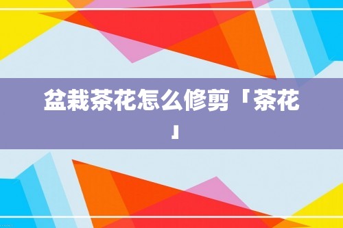 盆栽茶花怎么修剪「茶花」