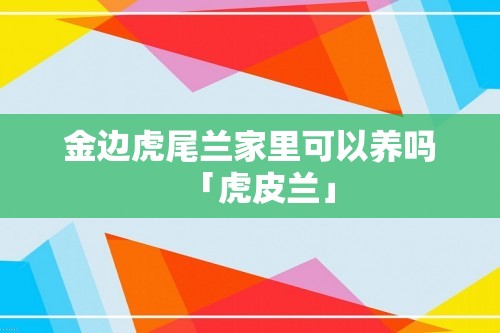 金边虎尾兰家里可以养吗「虎皮兰」