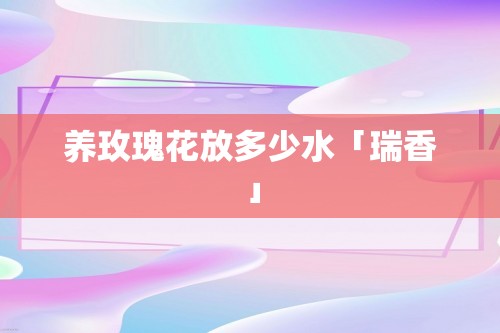 养玫瑰花放多少水「瑞香」