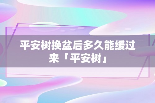 平安树换盆后多久能缓过来「平安树」