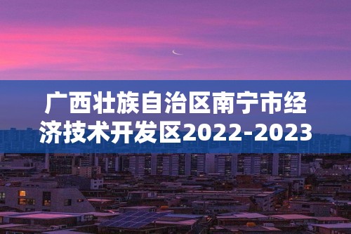 广西壮族自治区南宁市经济技术开发区2022-2023下学期八年级期中历史试题（无答案）