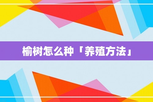 榆树怎么种「养殖方法」