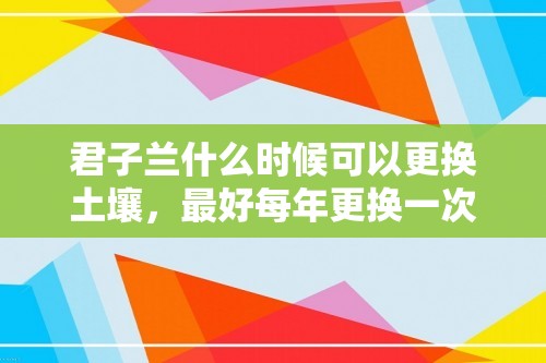 君子兰什么时候可以更换土壤，最好每年更换一次「君子兰」