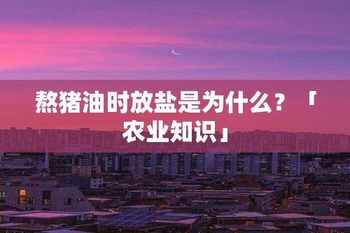 熬猪油时放盐是为什么？「农业知识」