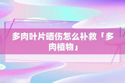 多肉叶片晒伤怎么补救「多肉植物」