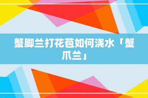 蟹脚兰打花苞如何浇水「蟹爪兰」