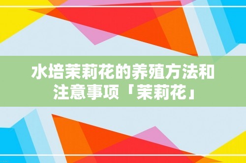 水培茉莉花的养殖方法和注意事项「茉莉花」