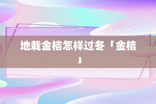 地栽金桔怎样过冬「金桔」