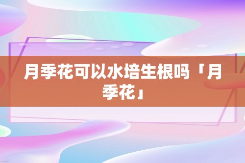 月季花可以水培生根吗「月季花」