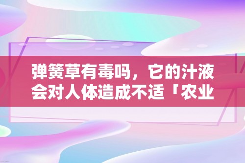 弹簧草有毒吗，它的汁液会对人体造成不适「农业知识」