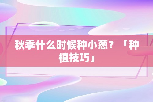 秋季什么时候种小葱？「种植技巧」