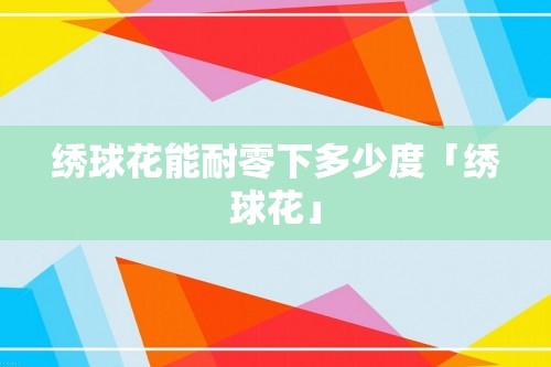 绣球花能耐零下多少度「绣球花」