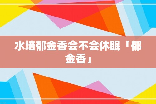 水培郁金香会不会休眠「郁金香」