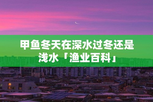 甲鱼冬天在深水过冬还是浅水「渔业百科」