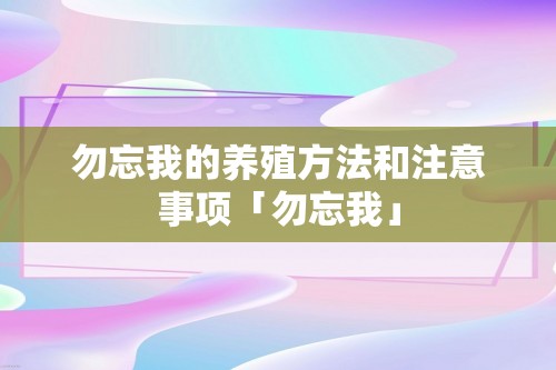 勿忘我的养殖方法和注意事项「勿忘我」