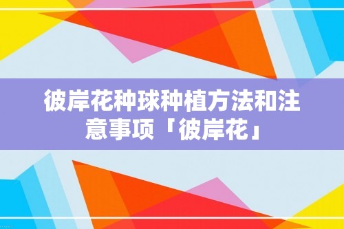 彼岸花种球种植方法和注意事项「彼岸花」