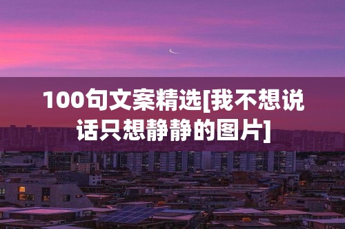 100句文案精选[我不想说话只想静静的图片]