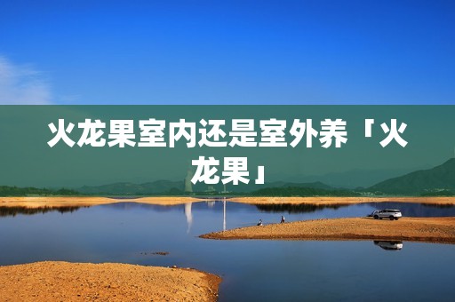 火龙果室内还是室外养「火龙果」