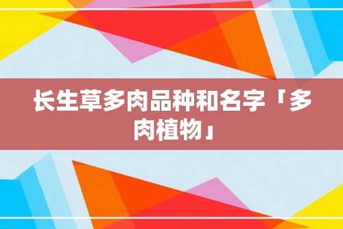 长生草多肉品种和名字「多肉植物」