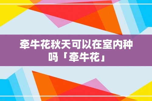 牵牛花秋天可以在室内种吗「牵牛花」