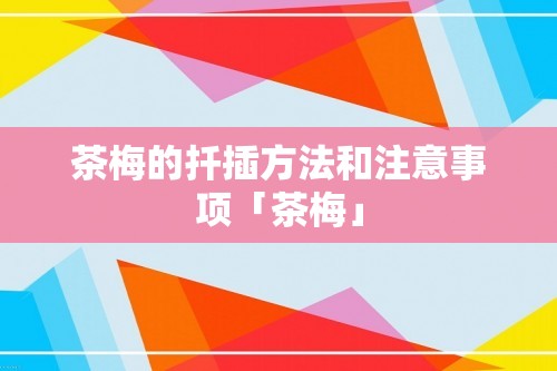 茶梅的扦插方法和注意事项「茶梅」