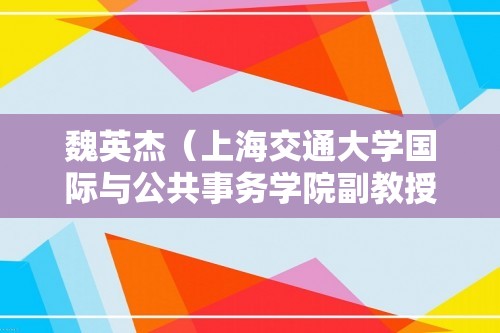 魏英杰（上海交通大学国际与公共事务学院副教授）