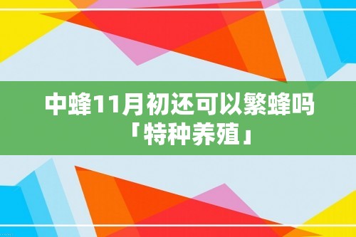 中蜂11月初还可以繁蜂吗「特种养殖」