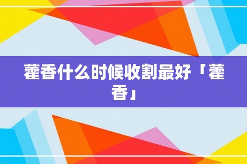 藿香什么时候收割最好「藿香」