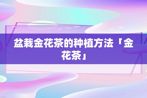 盆栽金花茶的种植方法「金花茶」