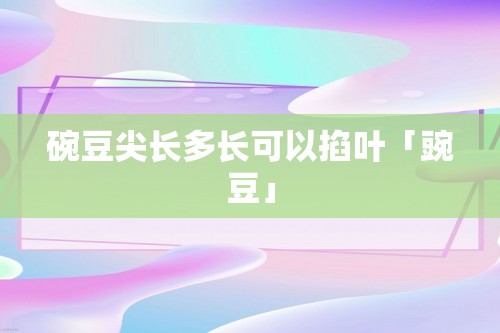 碗豆尖长多长可以掐叶「豌豆」