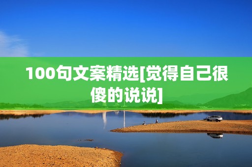 100句文案精选[觉得自己很傻的说说]