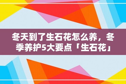 冬天到了生石花怎么养，冬季养护5大要点「生石花」