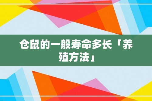 仓鼠的一般寿命多长「养殖方法」