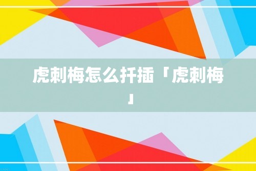 虎刺梅怎么扦插「虎刺梅」