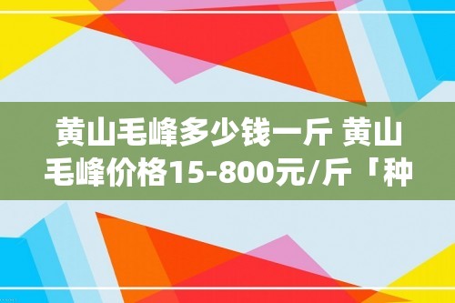 黄山毛峰多少钱一斤 黄山毛峰价格15-800元/斤「种植技巧 茶叶 >」