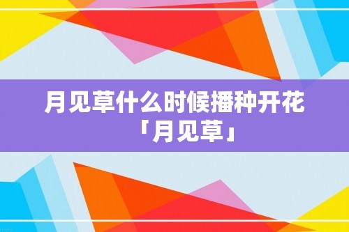 月见草什么时候播种开花「月见草」