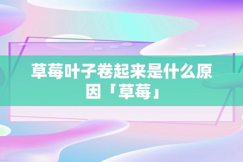 草莓叶子卷起来是什么原因「草莓」